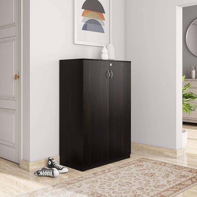 Amazon Brand Solimo Aquilla Engineered Wood Storage Unit with Swing