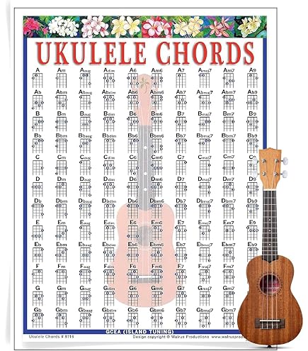 Guitar Chord Poster Walrus Productions Guitar Chord Mini Chart | Guitar ...