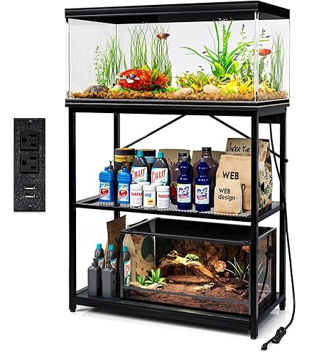 4x2x2 Reptile Enclosure 20 Gallon High Rimless With Shelf For