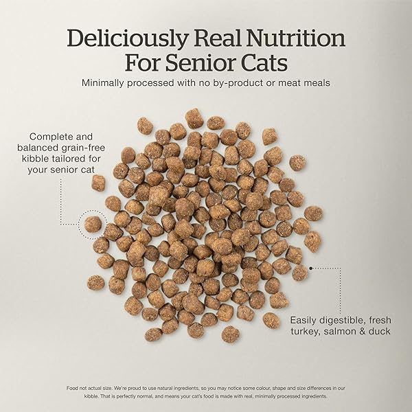 NOW FRESH GRAIN-FREE SENIOR DRY CAT FOOD WITH TURKEY, SALMON & DUCK, PREMIUM KIBBLE MADE WITH REAL POULTRY & FISH, CHICKEN-FREE RECIPE, SUPPORTS HEALTHY WEIGHT MANAGEMENT, 8 LB BAG