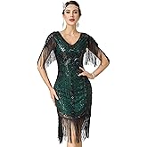 RRYIO Women's Flapper Dresses 1920s V Neck Beaded Fringed Great Gatsby Dress