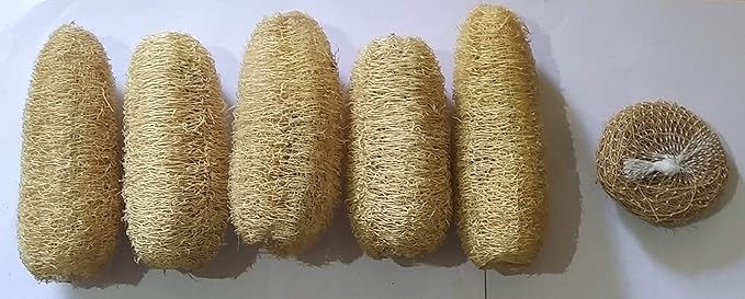 Vaibhav Natural Loufah Sponge Body Scrubber -5 Pieces+ 1 Pieces Ramacham(Vettiver) Scrubber Free