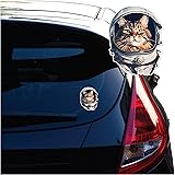 Yoonek Graphics Maine Coon Cat Vinyl Decal Sticker