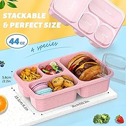 Bento Box for Adults and Snack Containers Set of 4