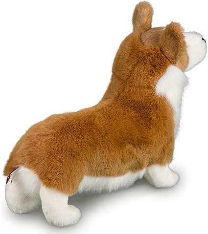 chadwick corgi