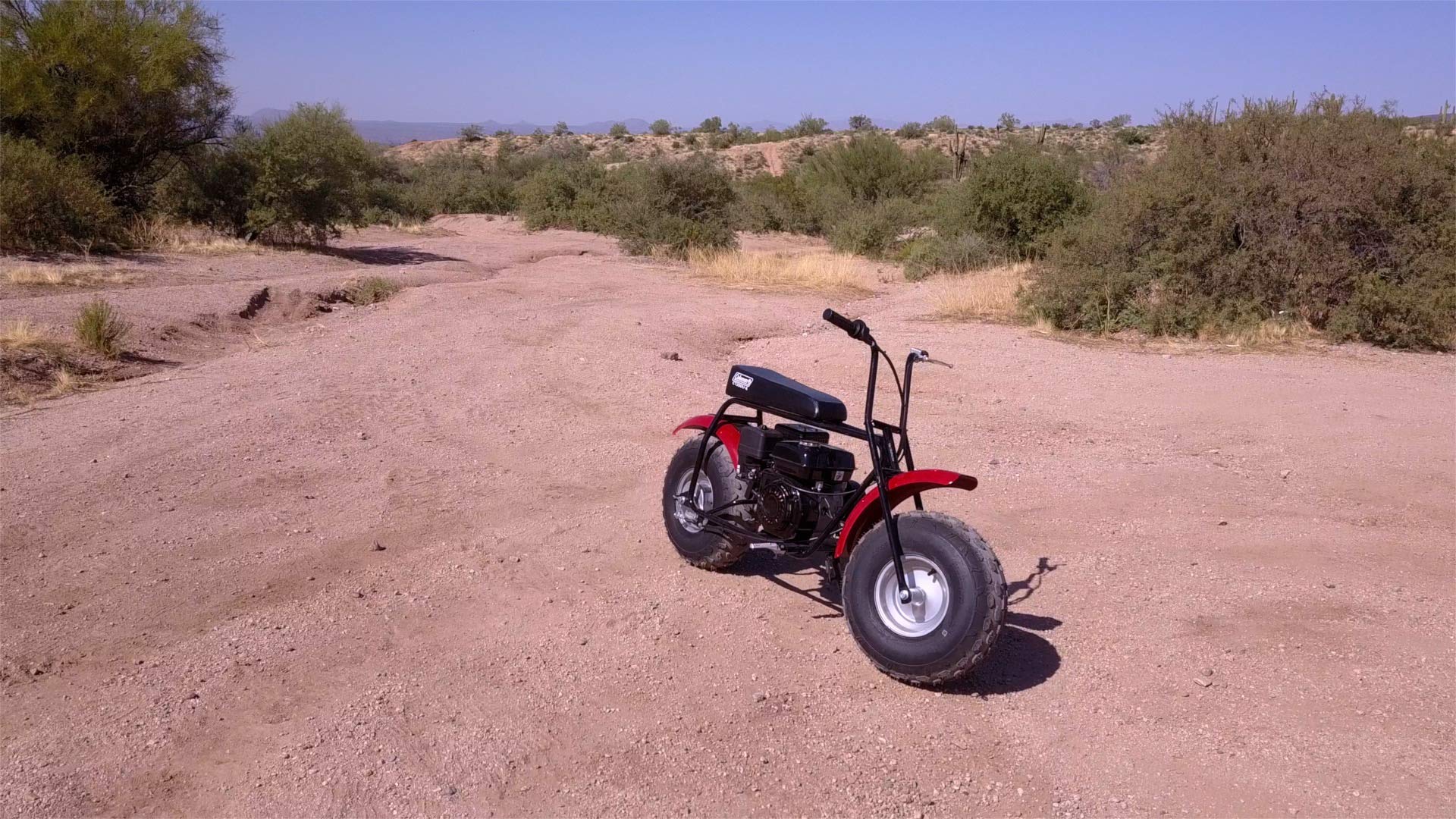 Coleman Powersports Mini Bike Trail Scooter for Adults ...