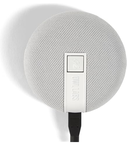 Amazon.com: MTW200-1000 Owl Pro 360 Degree 1080 Smart Video