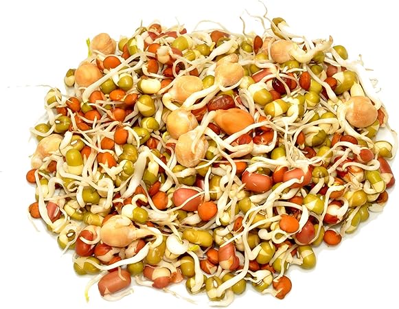 1 Lb Handy Pantry 5 Part Salad Sprout Mix Organic Non Gmo