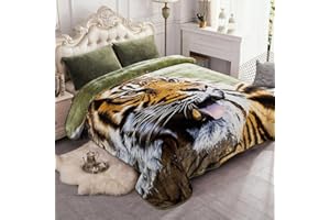JYK Plush Fleece Blanket Queen Size 91" x 75", 3.7LBs 1 Ply Soft Korean Mink Warm Lightweight Bed Blanket for Autumn Winter