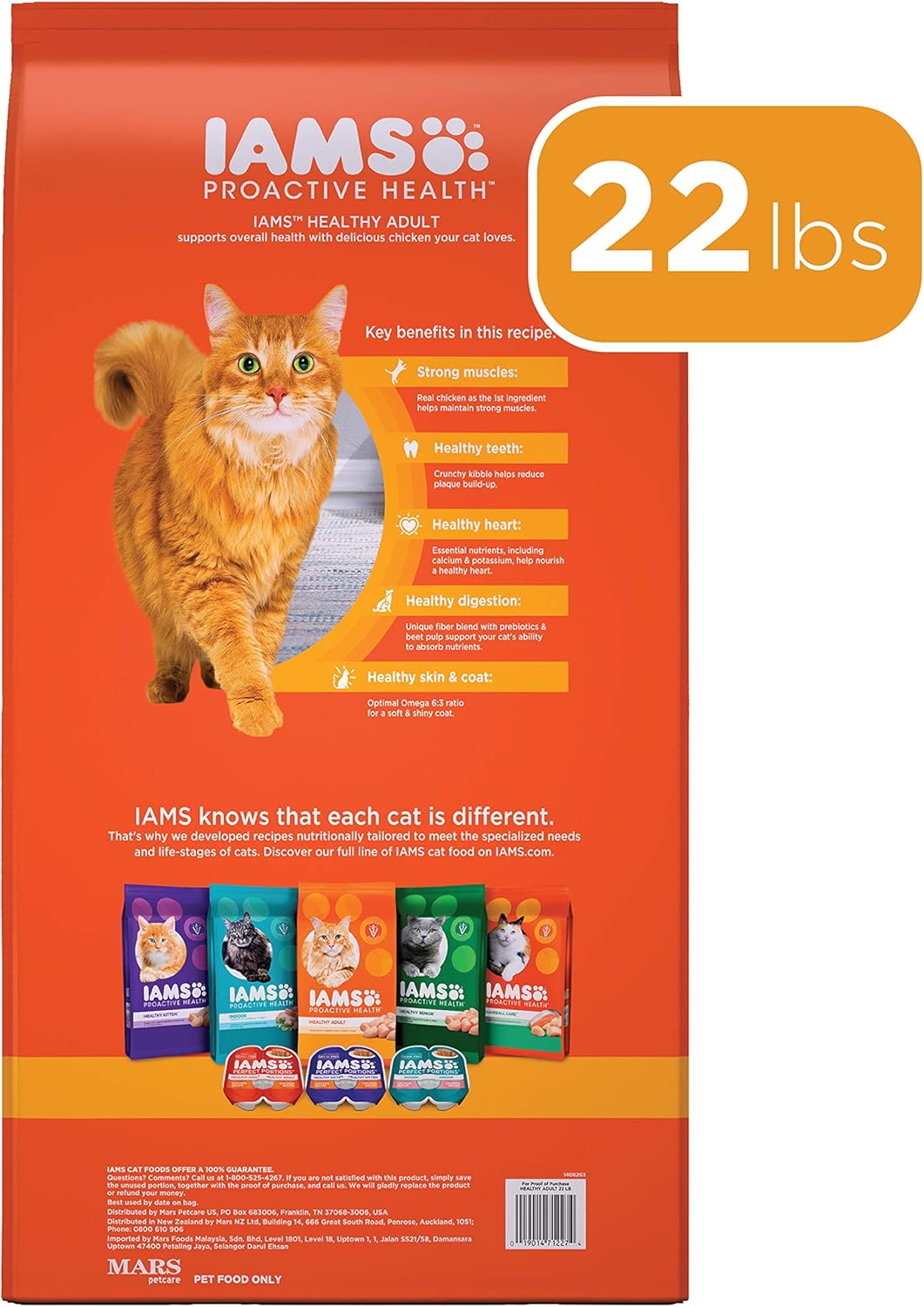 IAMS PROACTIVE HEALTH Adult Healthy Dry Cat Food with Chicken, 22 lb. Bag : Pet Supplies