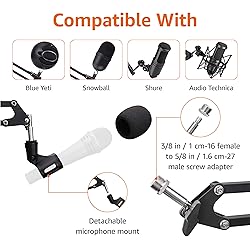 Amazon Basics Heavy-Duty Microphone Desk Arm Stand