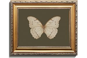 Uniro Vintage Gold Framed Wall Art, Classical Butterfly Oil Paintings, Dark Moody Insect Canvas Prints Artwork with Antique Frame, Sage Green Wall Decor Pictures for Bedroom, Kitchen, Shelf, Bathroom Wall Decor, Cottagecore Room Decor - 9x12Inch