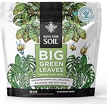 Leaf Lovers: 12 Big Leaf Houseplants to Transform Your Space 3 Leaf Lovers: 12 Big Leaf Houseplants to Transform Your Space