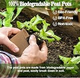 LATERN 100Pcs 8CM Biodegradable Seedling Pots with 100 Plant Labels view 2