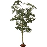Bachmann Trains - SCENE SCAPES - 8" MAPLE TREES (2 per box) - O Scale