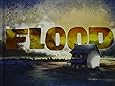 Flood Capstone Young Readers Alvaro F Villa 9781623700010 Amazon Com Books