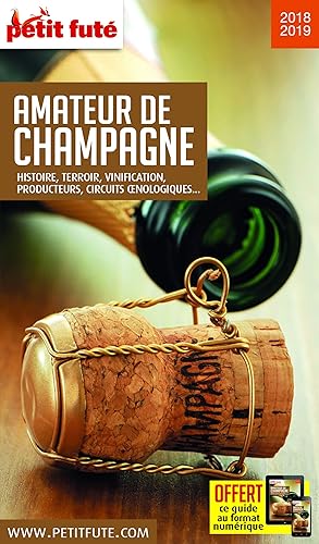 Download Petit Futé Amateur de champagne PDF