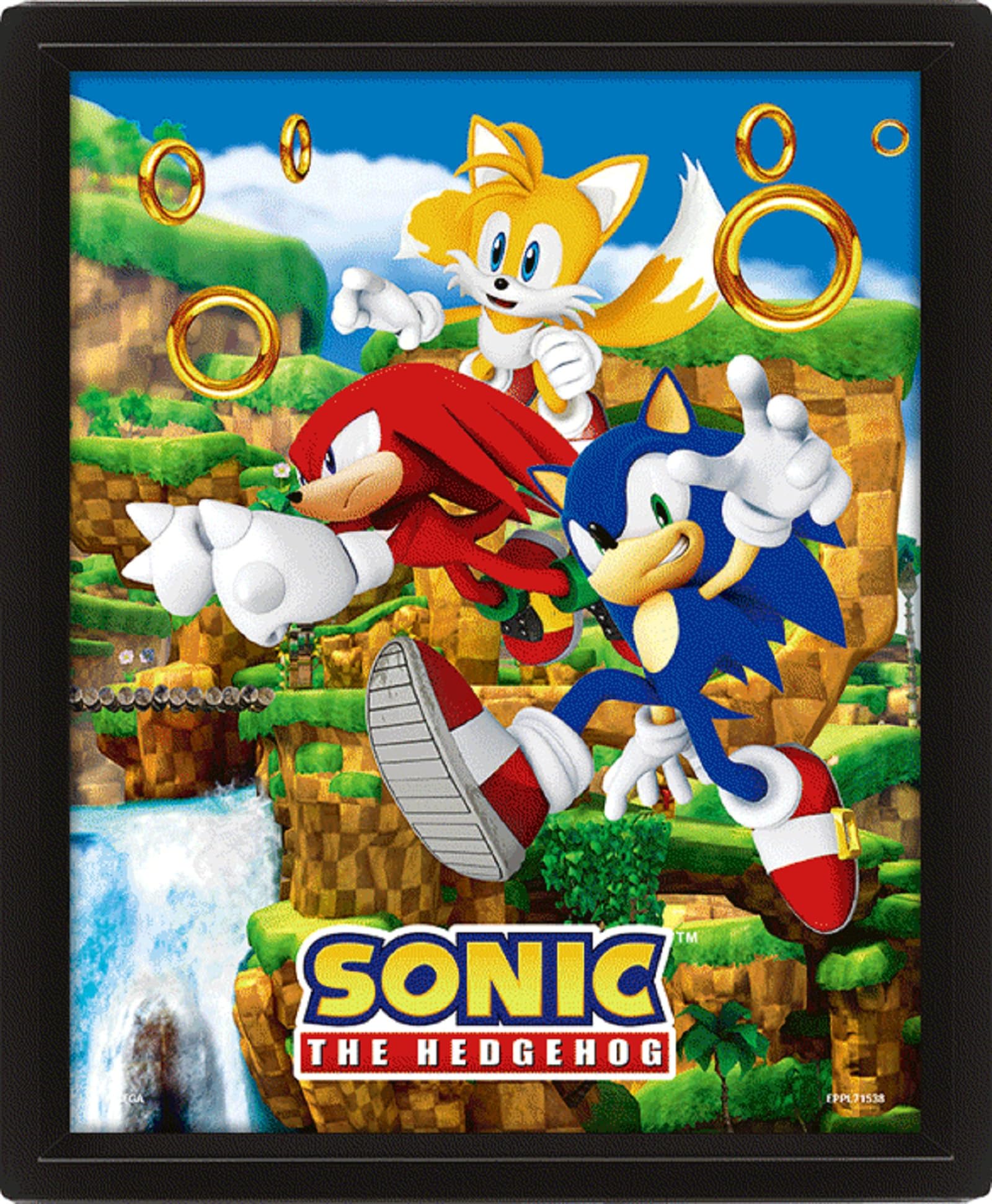Pyramid International Sonic the Hedgehog Poster in 3D (Catching Rings Design) Lenticular 3D Wall Art and Posters in Black Picture Frame 25cm x 20cm x 1.5cm - Official Merchandise