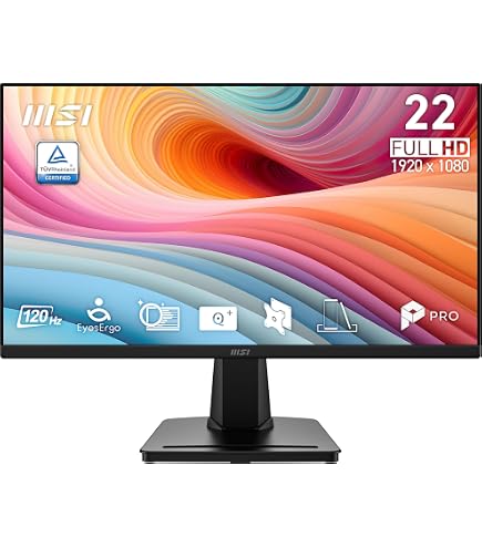 Amazon.com: Dell P2217 22