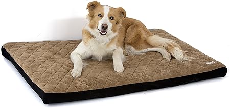 k9 beds amazon
