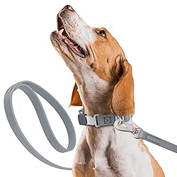Randstark Biothane Waterproof Durable Dog Leash