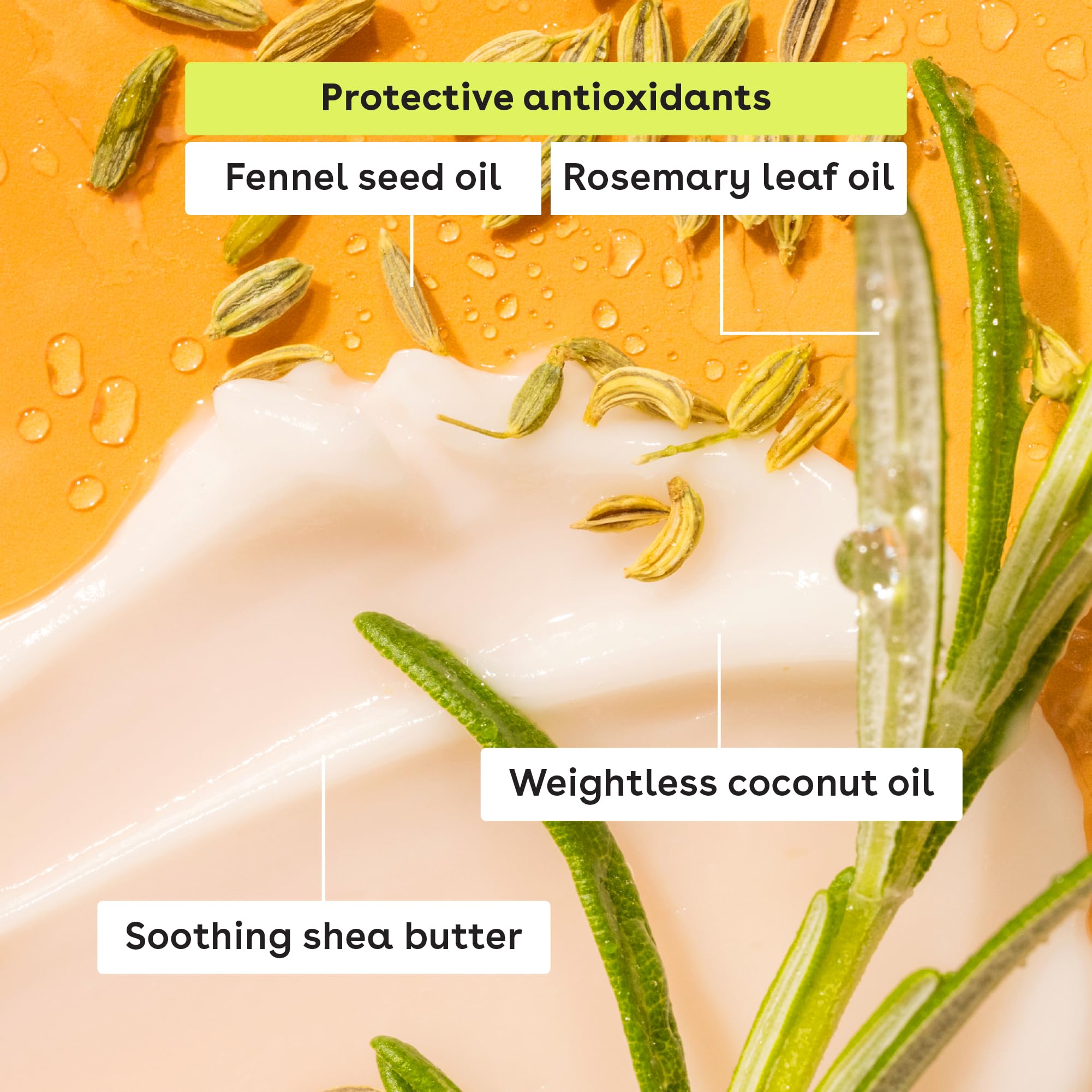 eos Flavor Lab Secret Menu Lip Balm - Peach Yuzu, Limited-Edition, Moisturizing, Hydrating for Dry Lips, Variety Pack, 0.14 oz, 2-Pack