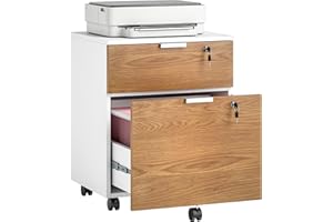 HOMCOM Vertical Filing Cabinet with 2 Drawers, Lockable File Cabinet on Wheels with Adjustable Hanging Bars for A4, Legal and