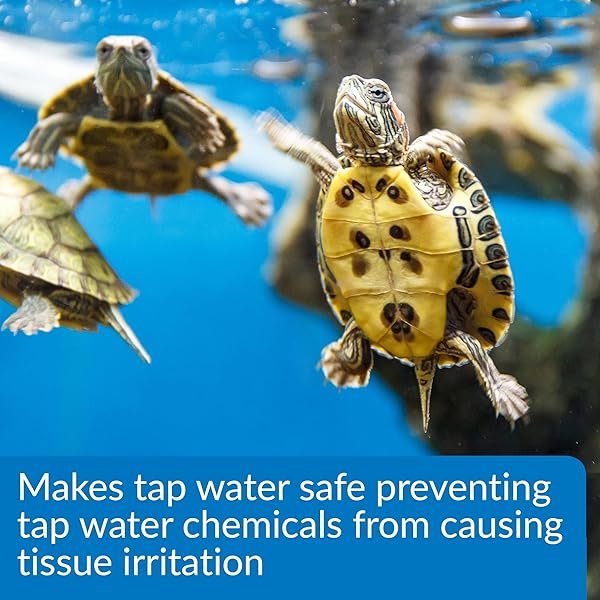 API TURTLE WATER CONDITIONER WATER CONDITIONER 8-OUNCE BOTTLE