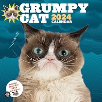 Grumpy Cat 2024 Wall Calendar: Cat, Grumpy: 9781797221960: Amazon.com: Books
