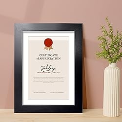 Annecy 8.5x11 Picture Frame Set of 3, Display