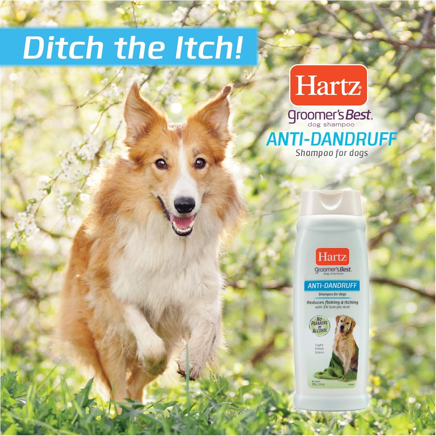 hartz anti dandruff dog shampoo