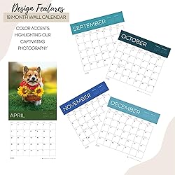 July 2025- December 2026 Wall Calendar 18 Month