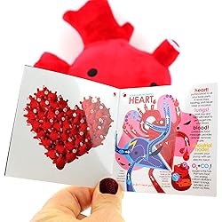 I Heart Guts Heart Plush - I Got The