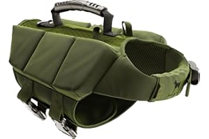 NOAH & PAW Dog Life Jacket, Human Standards Lifejacket Design, Dog Life Vest for Swimming and Boating, 3X Foam Support for Max Floating, Breathable Mesh, Salvavidas para Perros, Size XS