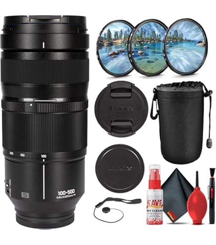 Amazon.com : Panasonic Lumix G Vario 100-300mm f/4.5-5.6 Lens (H