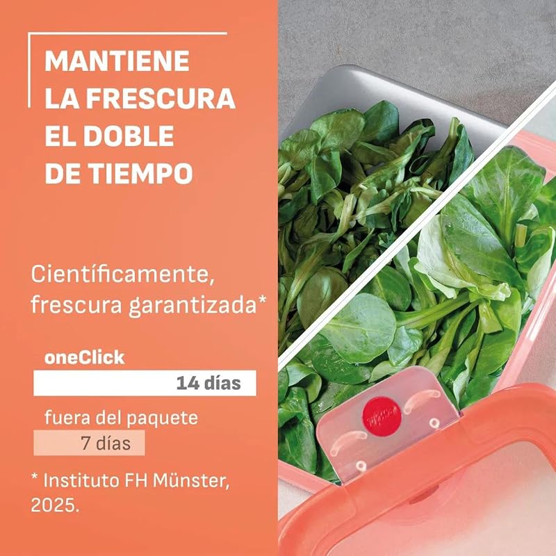 oneClick, Set de 5 recipientes para almacenar alimentos, Naranja — foto 6 de 8
