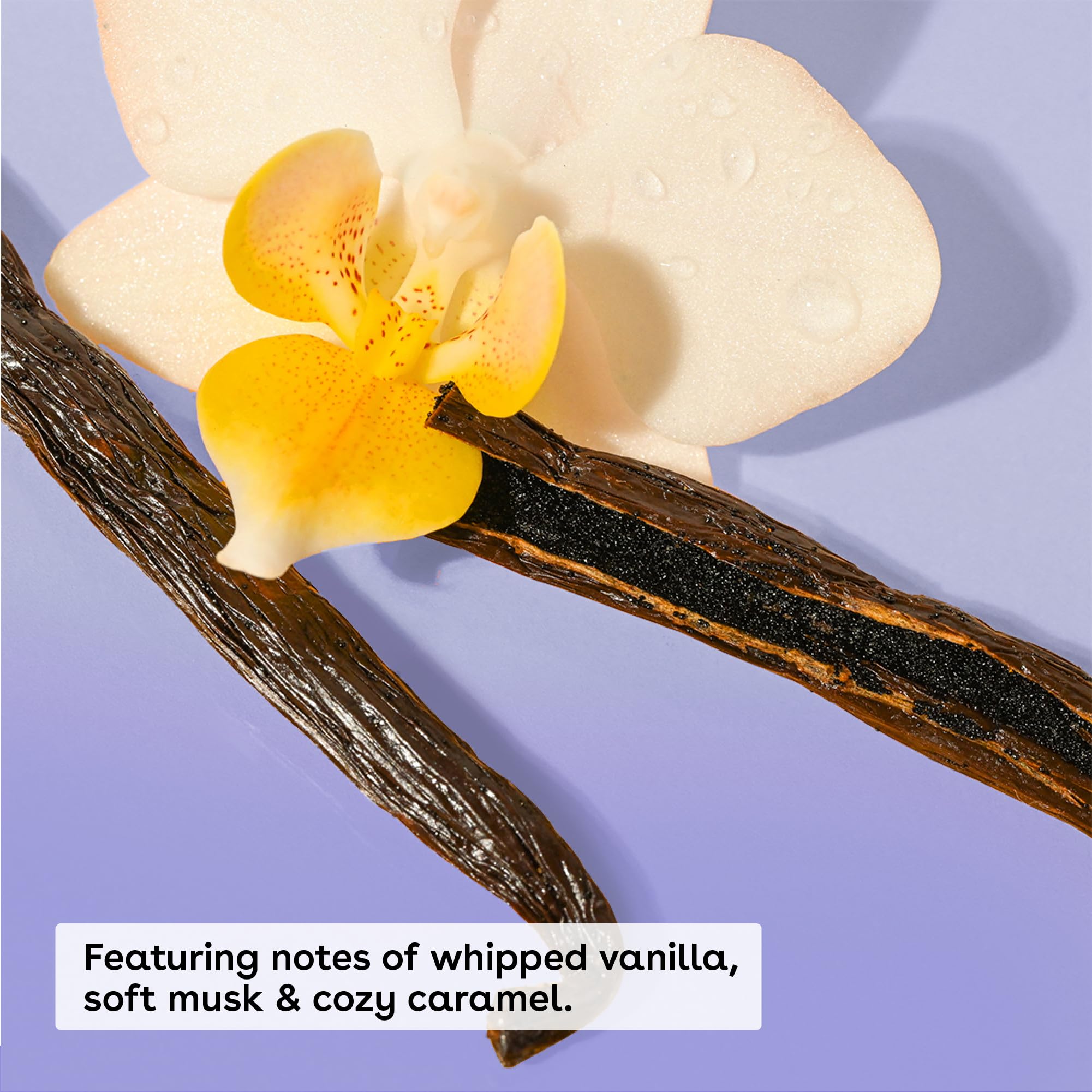 eos Cashmere Body Oil, Vanilla Cashmere, 24 Hour Moisture, Plant-Based Squalane to Soothe, Soften And Smooth Dry Skin, eos Body Oil, 6 fl oz