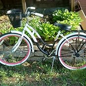 schwinn windwood blue