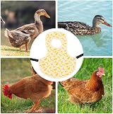 2x Chicken Saddle Hen Vest Pet Feather Protection Back Wing Apron Adjustable view 7