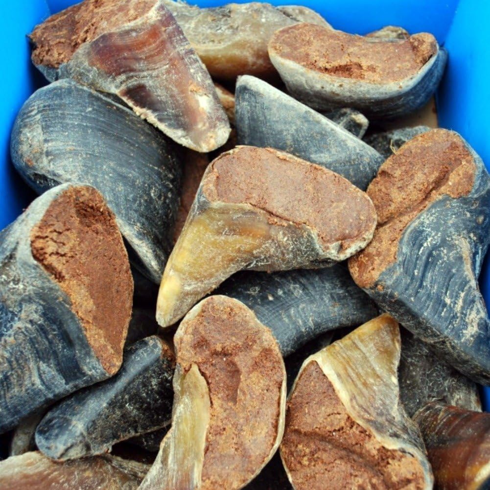 Hollings Filled Hooves Dog Treat 25 Count Amazon.co.uk Pet Supplies