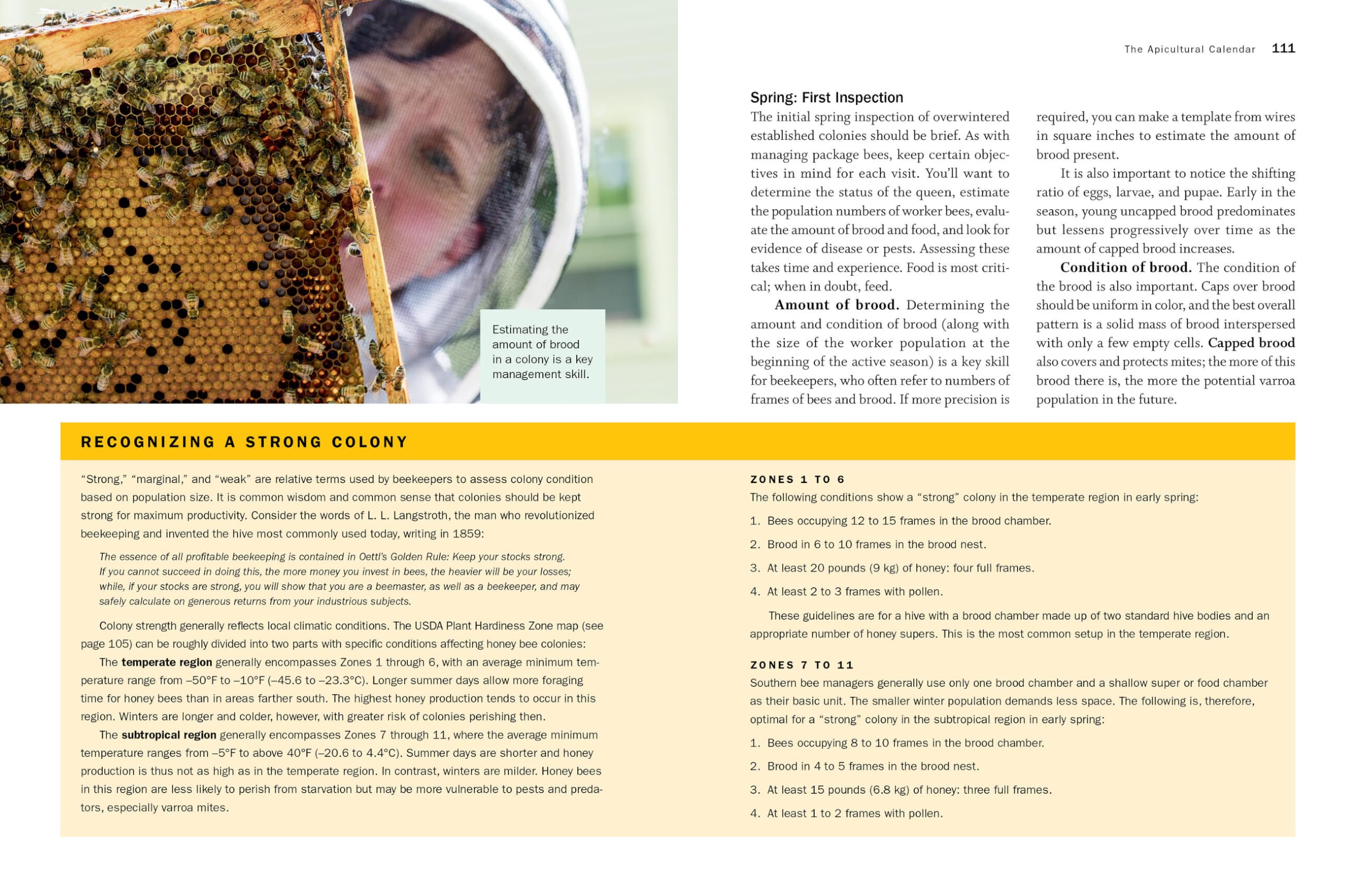 Storey's Guide to Keeping Honey Bees, 2nd Edition: Honey Production, Pollination, Health (Storey’s Guide to Raising)