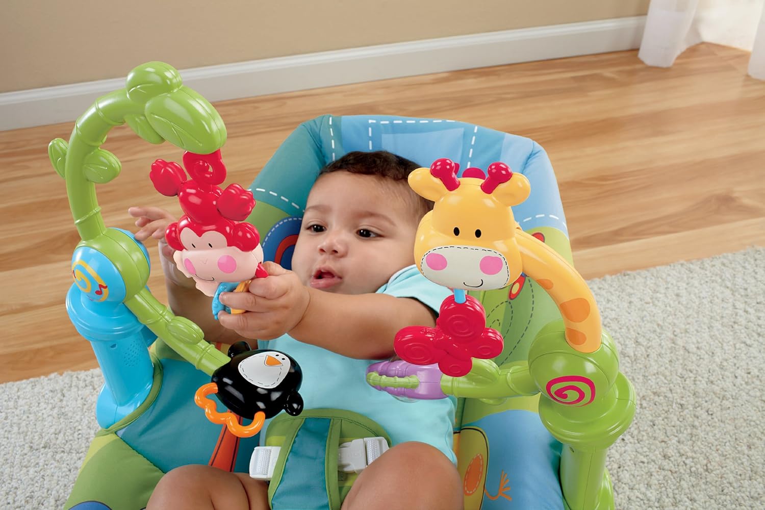 fisher price discover and grow bouncer