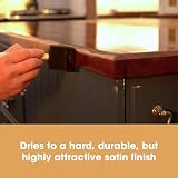 Furniture Clinic Danish Oil for Wood 1L Premium Finish Satin Seal view 3