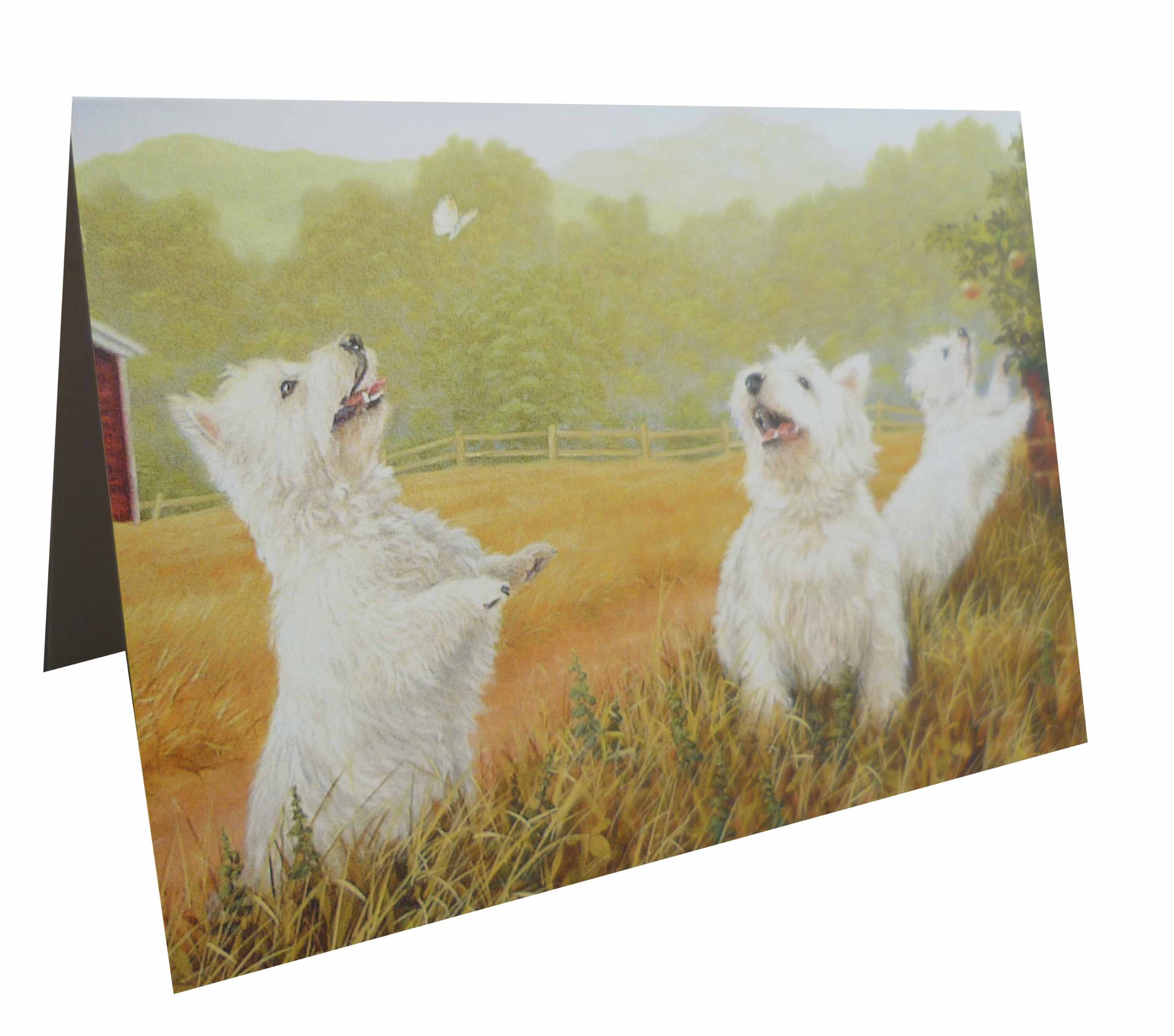 West Highland Terriers (John Silver) Notecards (Pack of 10)