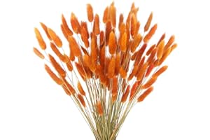 CISDUEO 120pcs Dried Bunny Tails Flowers Orange Lagurus Ovatus Tail Dried Flowers Pampas Grass Natural Dried Floral Arrangement for Boho Fall Decor Autumn Wedding DIY Farmhouse Christmas Halloween