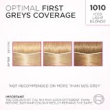 L’Oréal Casting Crème Gloss 1010 Iced Light Blonde Semi-Permanent Hair Dye view 7