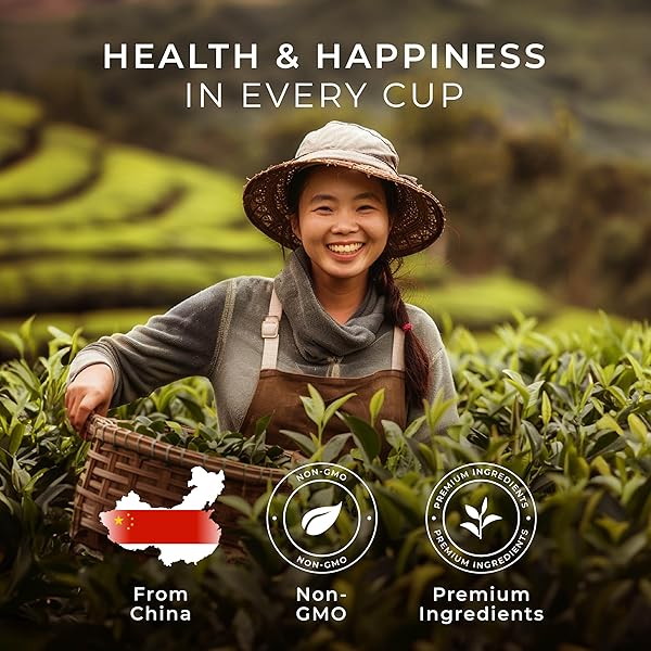 GYA TEA CO CHAI HERBAL TEA POD (24 CT) – DECAF HOT TEA WITH AROMATIC & MELLOW FOR SMOOTH & COMFORT