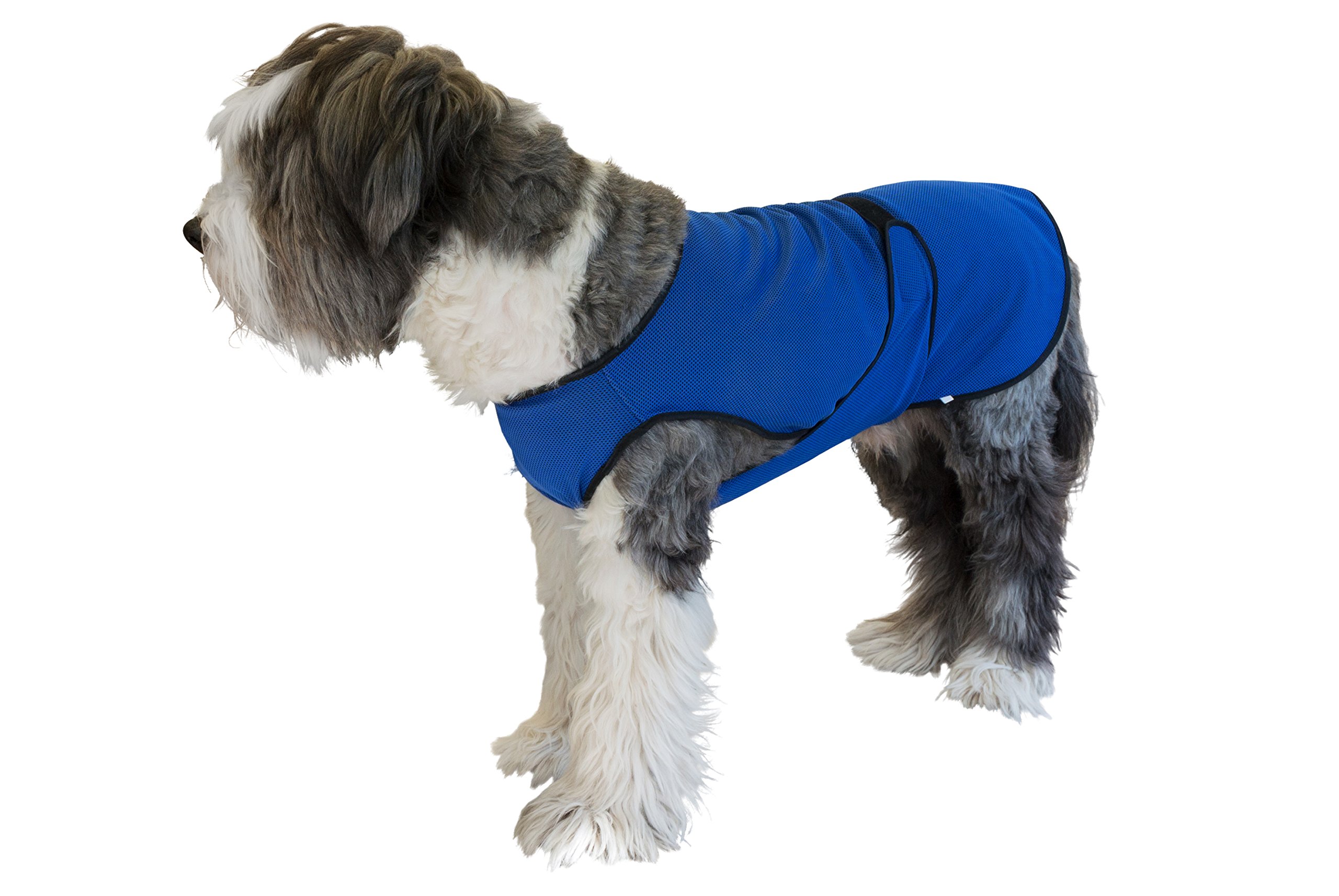 Dog Cooling Vest - Cooling Vest for Dogs - Dog Cooling Shirt - Cooling Dog Vest - Cooling Harness for Dogs - Dog Cooling Harness - Cooling Vest for Dogs for Hot Weather - Dog Sun Shirt (Medium, Blue)