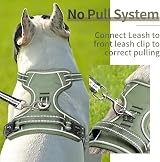 HEELE Dog Harness Small Reflective No-Pull Adjustable Padded Green view 5