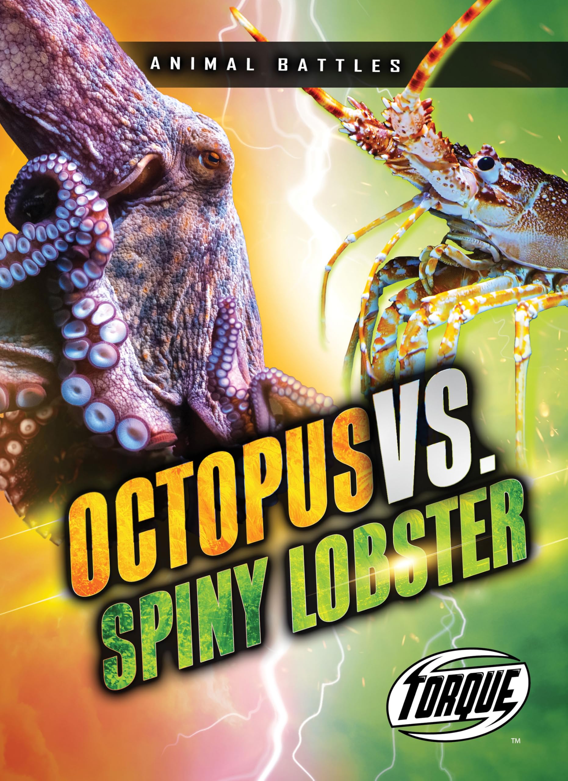 Photo 1 of Octopus vs. Spiny Lobster (Animal Battles)